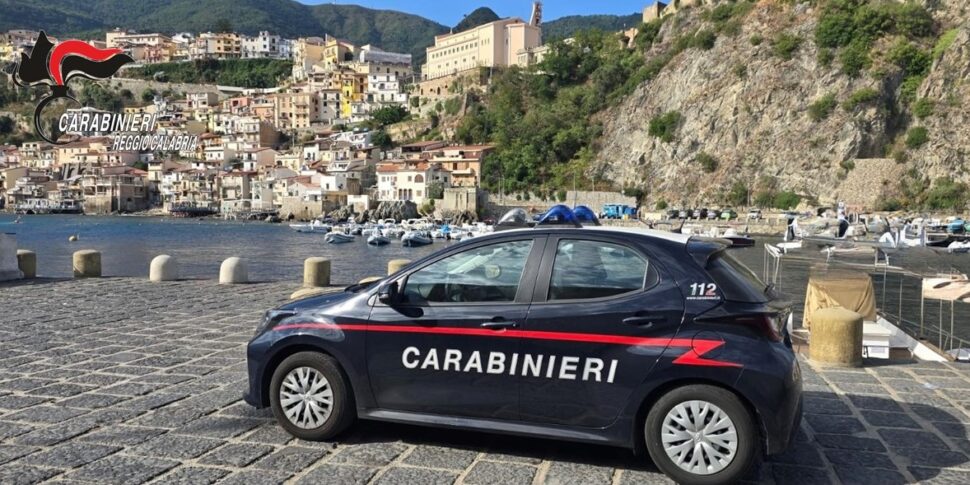 dieci chili di cibo sequestrato durante controlli nei lidi di scilla
