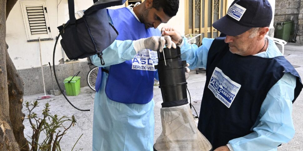 https://assets.gazzettadelsud.it/2025/07/Operatori-della-Asl-di-Caserta-impegnati-nella-installazione-di-trappole-per-le-zanzare-Culex-responsabili-del-contagio-sulluomo-del-West-Nile-970x485.jpg