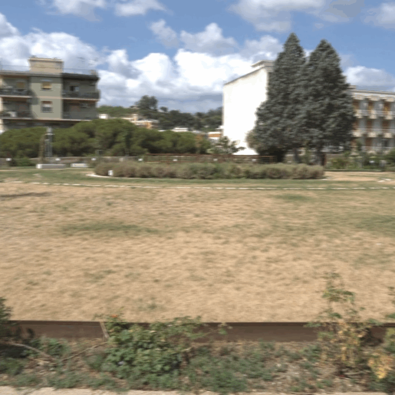 Messina: il parco Aldo Moro torna "giallo", altro che polmone verde