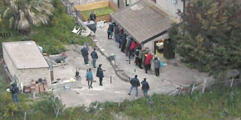 zoomafie e corse clandestine in sicilia aumentano gli indagati
