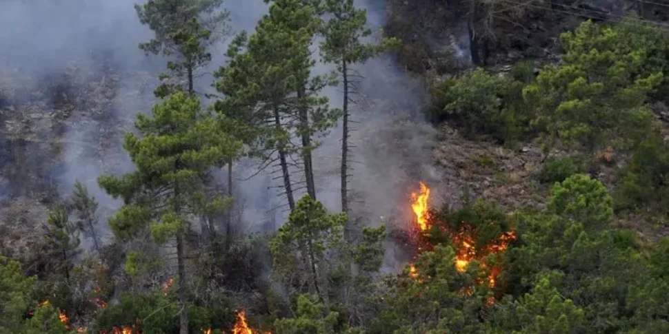 https://assets.gazzettadelsud.it/2025/07/incendi-970x485.webp