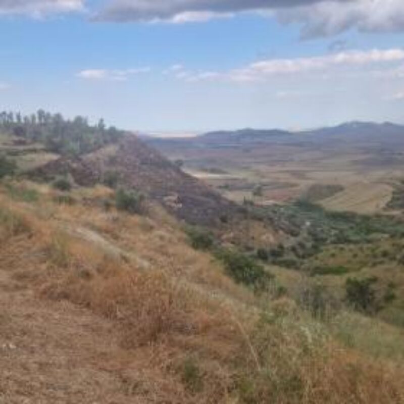 Tiziana D'Angelo, direttrice del parco archeologico di Paestum Velia