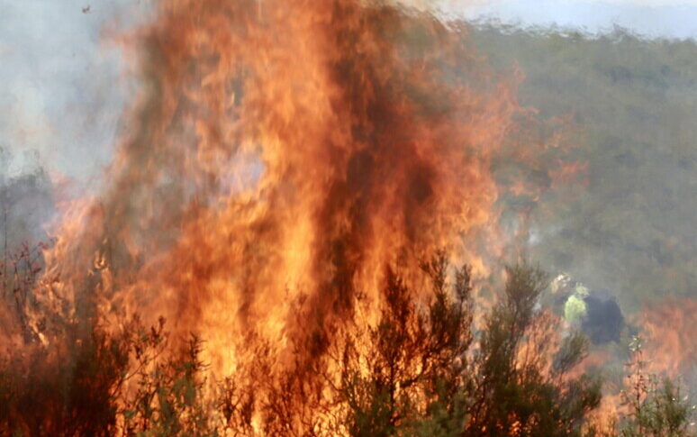 https://assets.gazzettadelsud.it/2025/08/INCENDI-SPAGNA-774x485.jpg