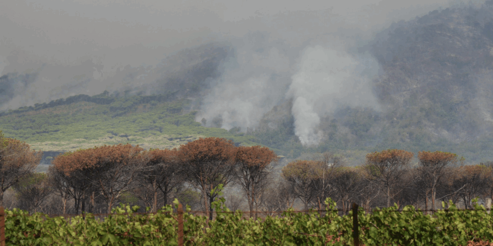 incendio sul vesuvio in fiamme i boschi di terzigno uno scenario apocalittico