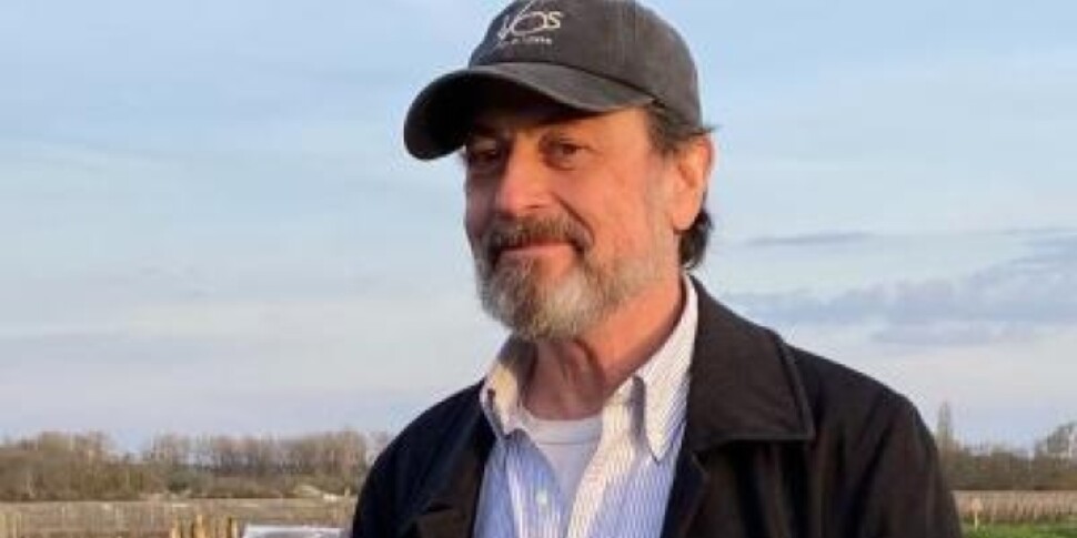 la piccola azienda di vini dietro lo stop ai dazi tutto nasce dal ricorso di victor schwartz che tratta etichette italiane