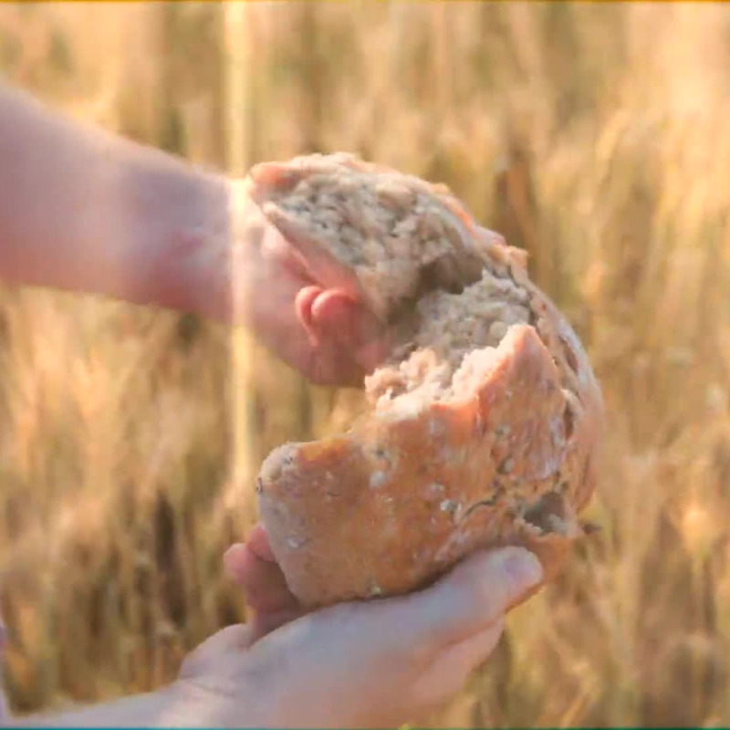 buona terra puntata 7 dell'1 agosto 2025