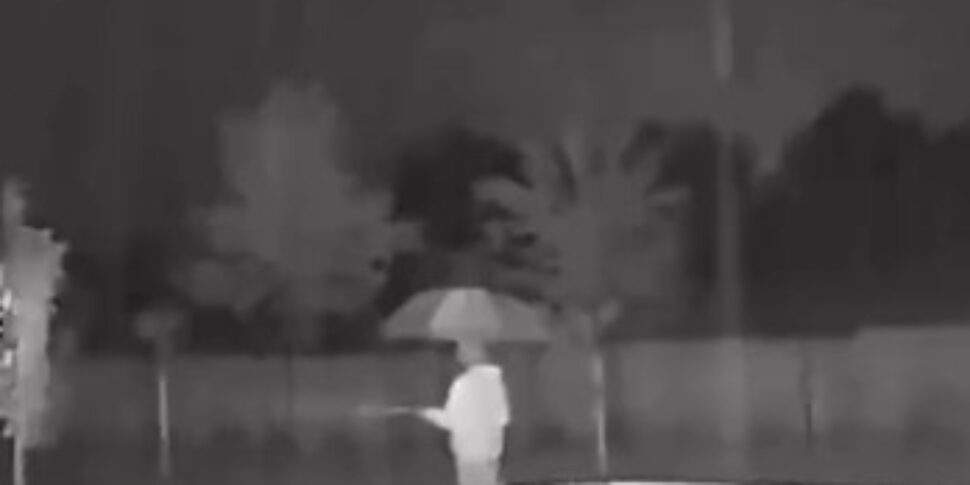 Va a cercare il gatto fuori mentre piove: meteorologo viene colpito dalla scarica di un fulmine ad Arezzo VIDEO Va a cercare il gatto fuori mentre piove: meteorologo viene colpito dalla scarica di un fulmine ad Arezzo VIDEO