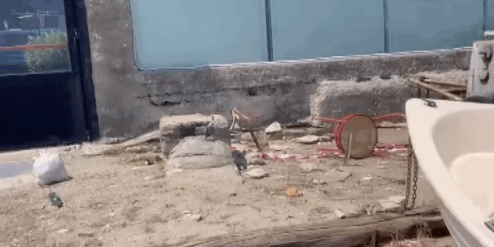 Messina, la spiaggia delle “case basse” di Paradiso tra degrado e abbandono: appello per una riqualificazione