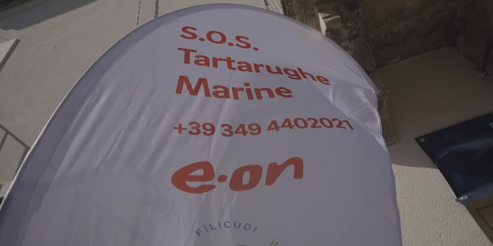 A Lipari operativo il turtle point