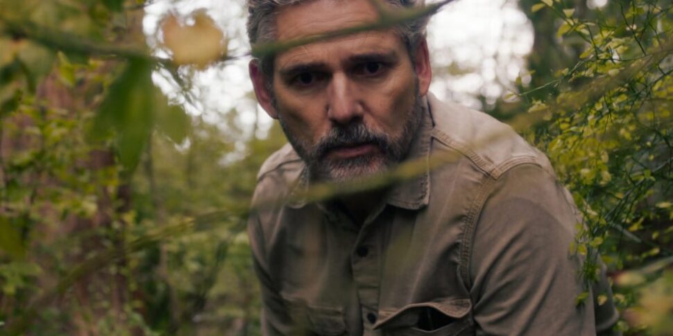 untamed su netflix un assassinio nel parco americano