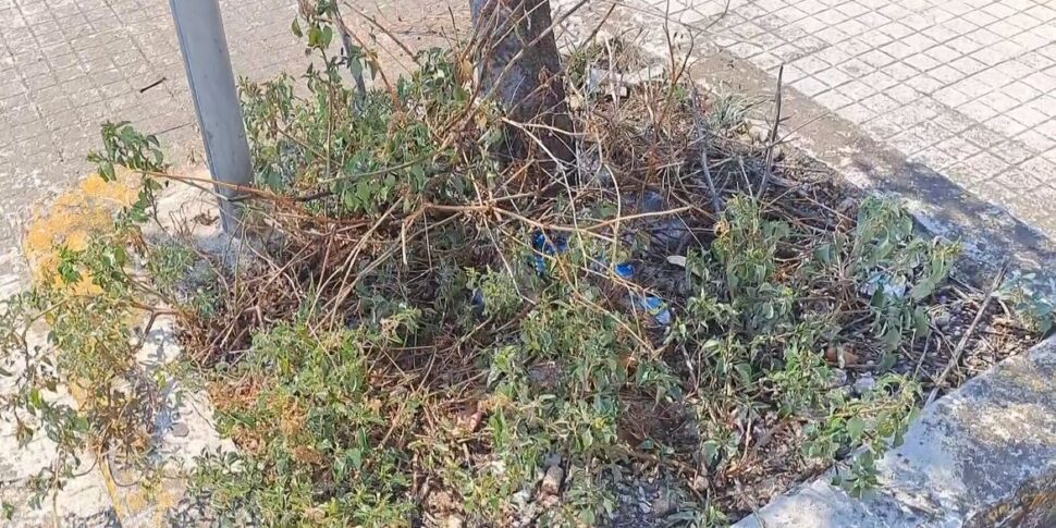 Messina, degrado all'Annunziata: degrado a piazza Umberto I