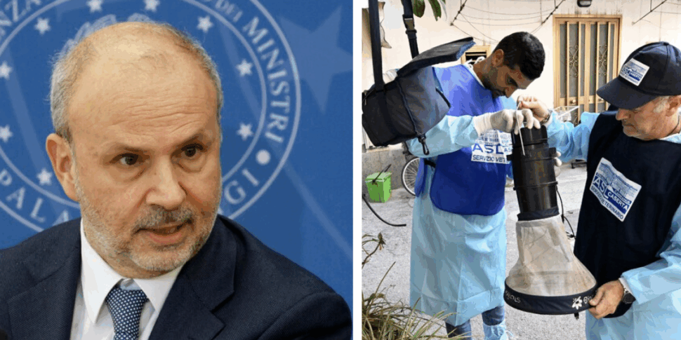 Virus West Nile, il ministro Schillaci rassicura: “Tutto sotto controllo” Virus West Nile, il ministro Schillaci rassicura: “Tutto sotto controllo”