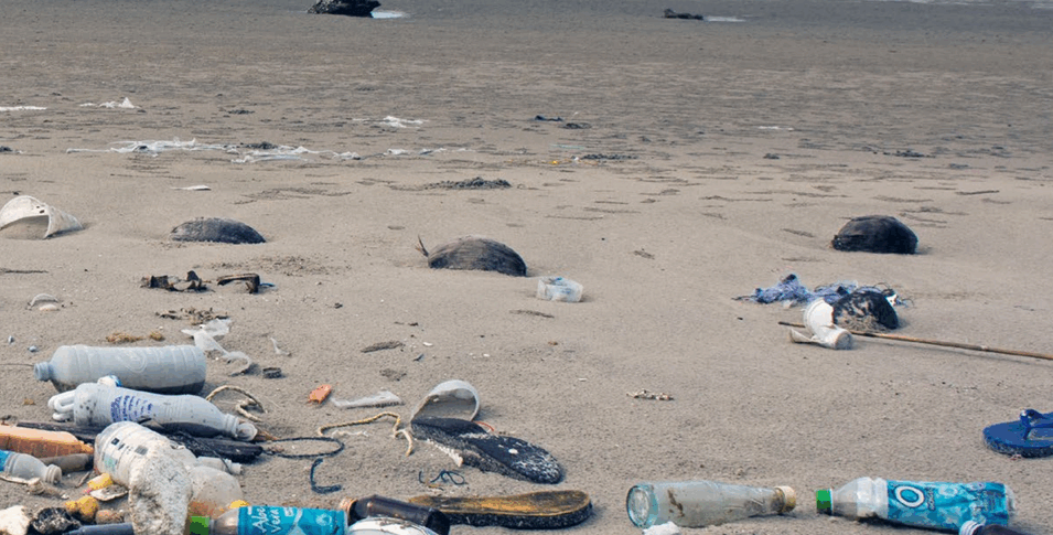 Ciclo del cemento, pesca illegale e inquinamento: nel report Mare Nostrum 2025 i numeri e le storie ...