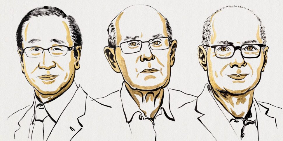 https://assets.gazzettadelsud.it/2025/10/Kanegawa-Robson-e-Yaghi-970x485.jpg