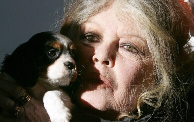https://assets.gazzettadelsud.it/2025/10/brigitte-bardot-774x485.jpg