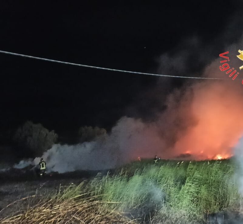 Catanzaro, incendio di vegetazione in viale Emilia: intervengono i vigili del fuoco