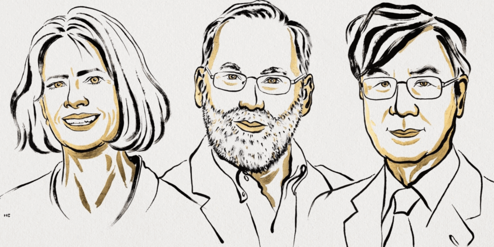 Nobel per la Medicina a Brunkow, Ramsdell e Sakaguchi. Premiate le scoperte sulla difesa del sistema immunitario