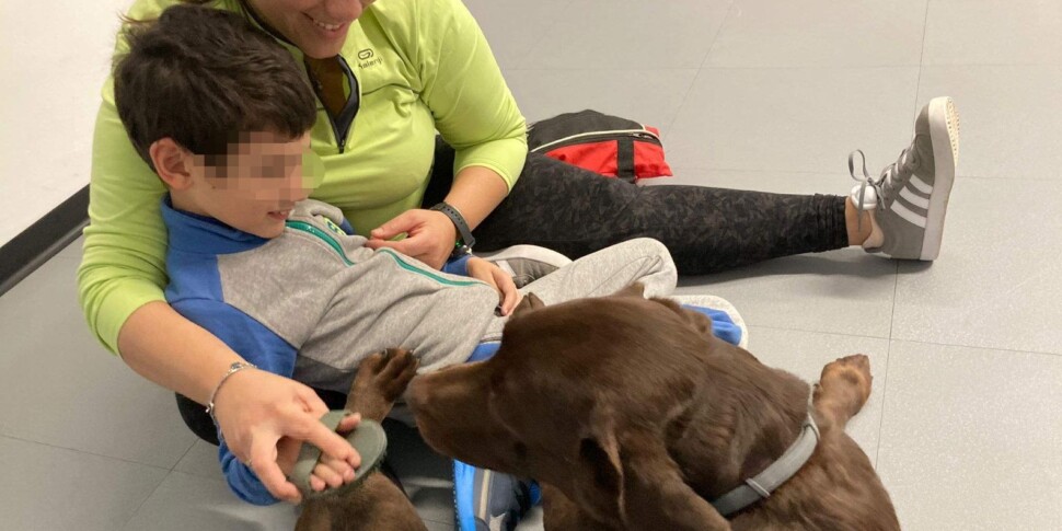 Non solo "pet therapy": a Messina gli interventi per la disabilità hanno quattro zampe, un’anima e un centro d'eccellenza