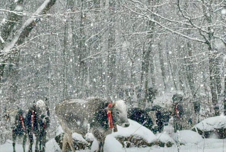 Paesaggi imbiancati e temperature in picchiata: da Camigliatello all