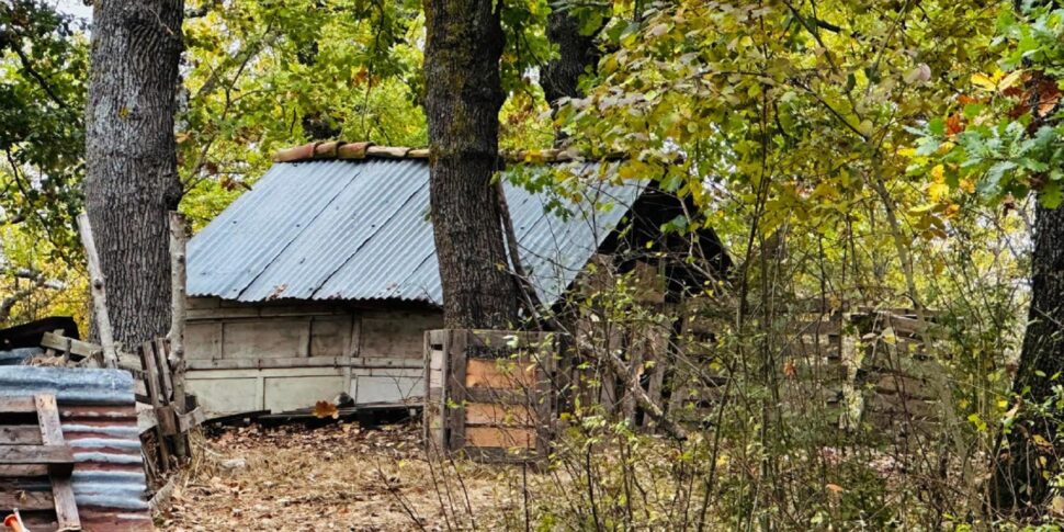 Chieti, i bimbi della famiglia che vive nel bosco trasferiti in una struttura protetta. Papà Nathan: «Terribile che sia accaduto»