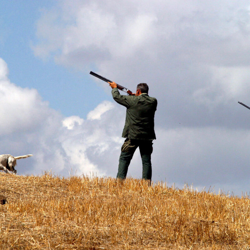 Due cacciatori in un'immagine di archivio. ANSA / ETTORE FERRARI