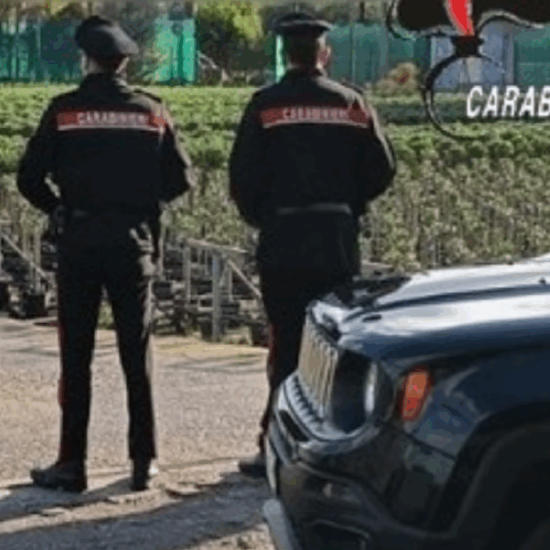 Caporalato a Terme Vigliatore: così i lavoratori dei vivai venivano sfruttati e sottopagati I NOMI