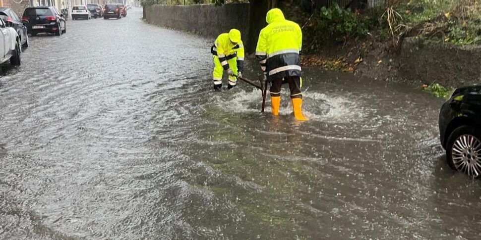 Maltempo nel Messinese, il sindaco di Milazzo: “Attivato il Coc, interventi in tutta la città”. Rami caduti a Taormina Maltempo nel Messinese, il sindaco di Milazzo: “Attivato il Coc, interventi in tutta la città”. Rami caduti a Taormina