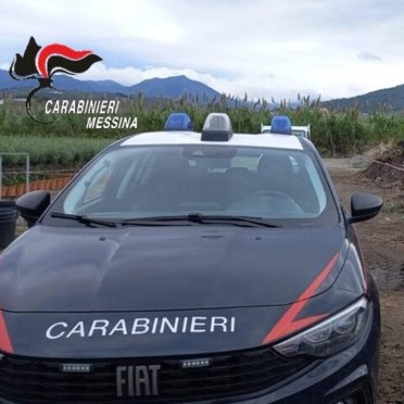 Rodì Milici, reflui oleari nei corsi d’acqua: sequestrati quattro frantoi e denunciate quattro persone