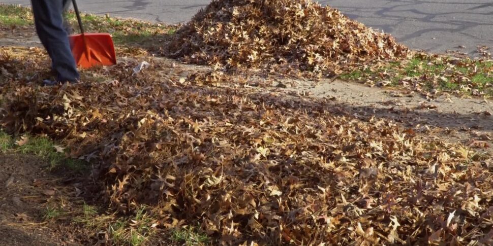 Messina, il Comune si dedica alla manutenzione delle aree verdi private