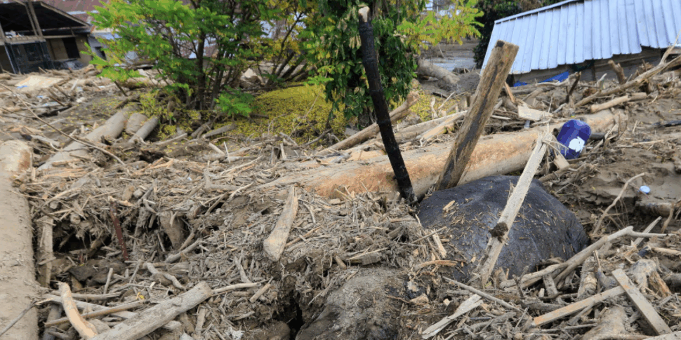 Indonesia, frane e inondazioni a Sumatra: 631 morti e un milione di sfollati Indonesia, frane e inondazioni a Sumatra: 631 morti e un milione di sfollati