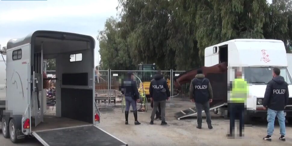 https://assets.gazzettadelsud.it/2026/01/CORSA-CLANDESTINA-DI-CAVALLI-A-CAMPOROTONDO-ETNEO.-IL-QUESTORE-DI-CATANIA-HA-EMESSO-15-FOGLI-DI-VIA-OBBLIGATORI-1-970x485.jpg