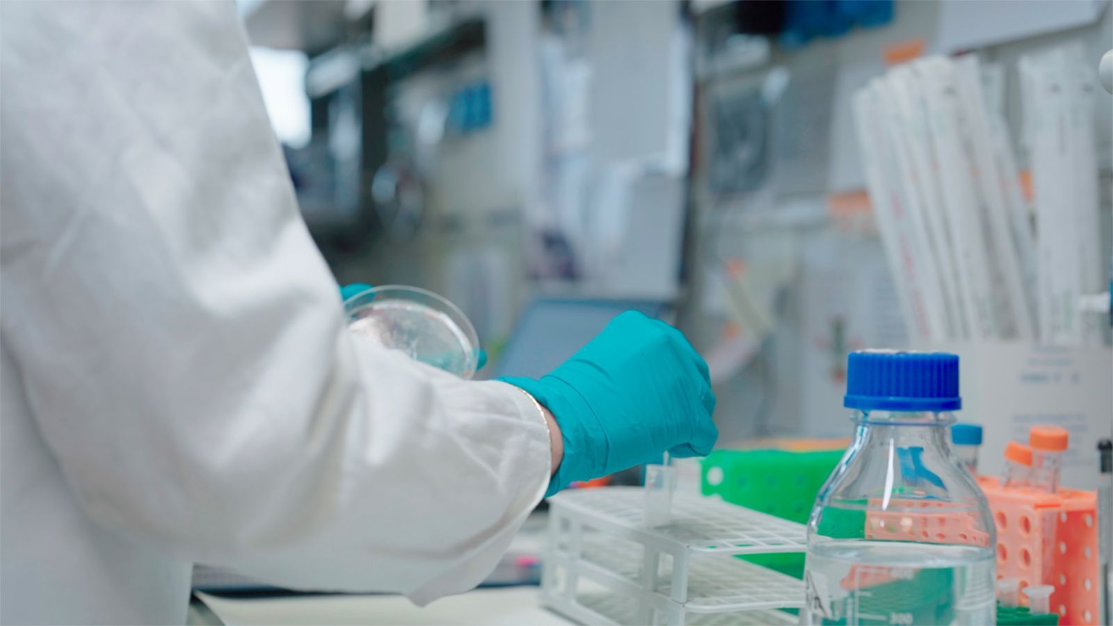 Ricerca, la Calabria che vince: i tre Atenei regionali confermano il loro ruolo nazionale