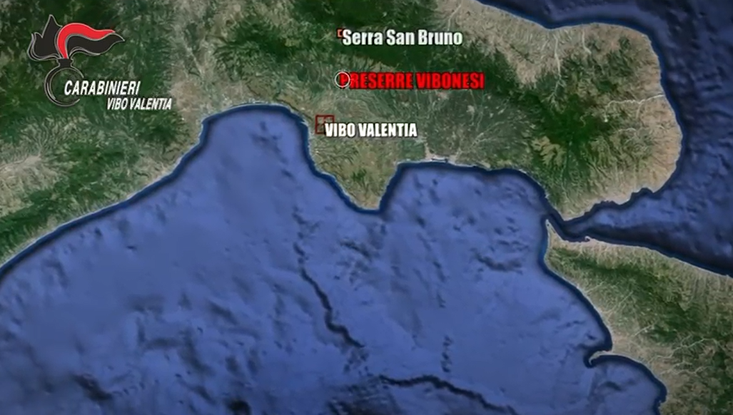 La faida fra le 'ndrine Loielo ed Emanuele tra omicidi, estorsioni e possesso di armi da guerra: 15 arresti tra Vibo, Catanzaro e Cosenza I NOMI