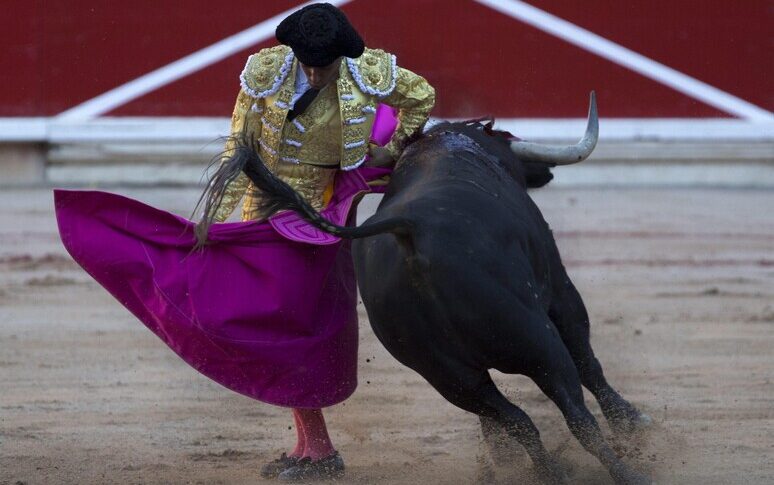 https://assets.gazzettadelsud.it/2026/04/torero-spagna-774x485.jpg
