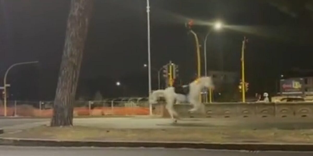 spaventati dai petardi i cavalli della parata del 2 giugno in fuga a roma da Feedpress.me spaventati dai petardi i cavalli della parata del 2 giugno in fuga a roma
