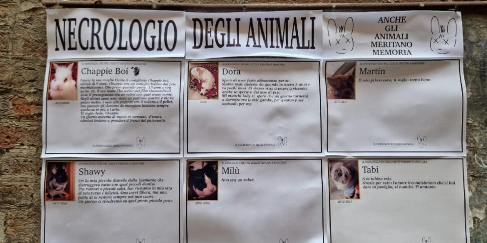 https://assets.gazzettadelsud.it/2026/05/I-manifesti-dedicati-ad-animali-scomparsi-affissi-in-via-della-Viola-a-Perugia-5-maggio-2026-970x485.jpg