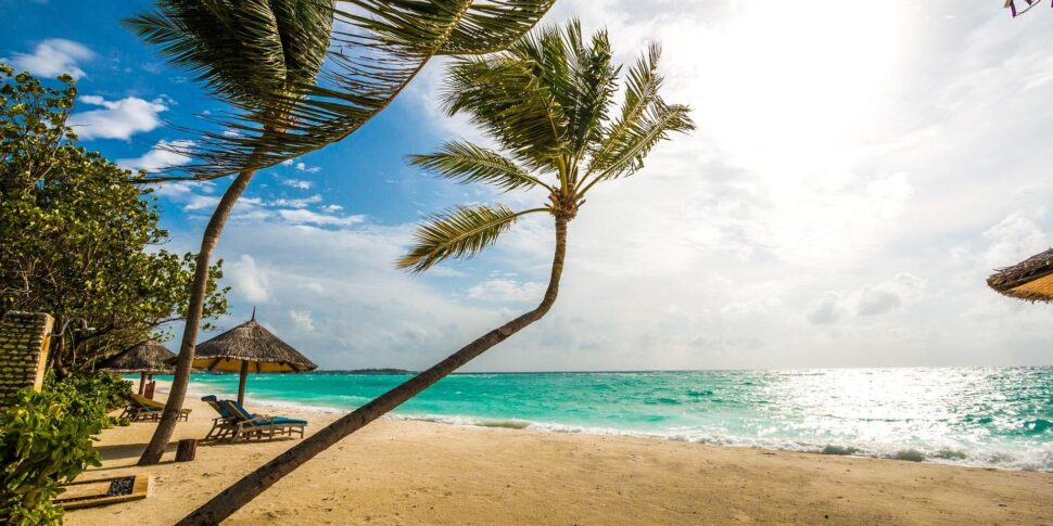 maldive paradiso del turismo l italia terzo paese per arrivi da Feedpress.me maldive paradiso del turismo l italia terzo paese per arrivi