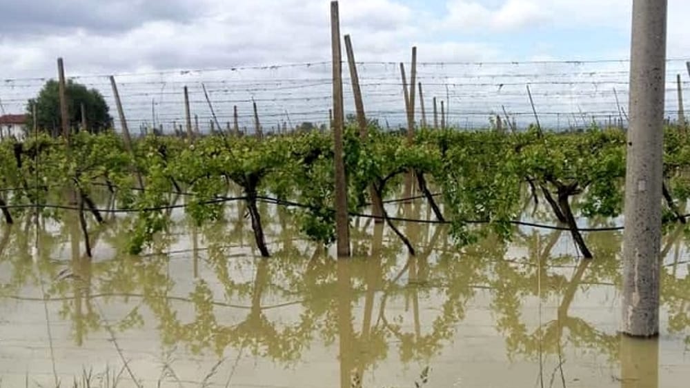 Calabria colpita da eventi estremi: approvata la declaratoria di calamità naturale