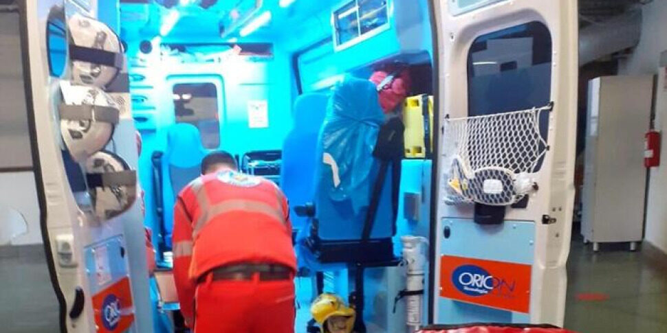 bimbo azzannato da un cane ad andria il padrone lancia 20 euro e scappa via da Feedpress.me bimbo azzannato da un cane ad andria il padrone lancia 20 euro e scappa via