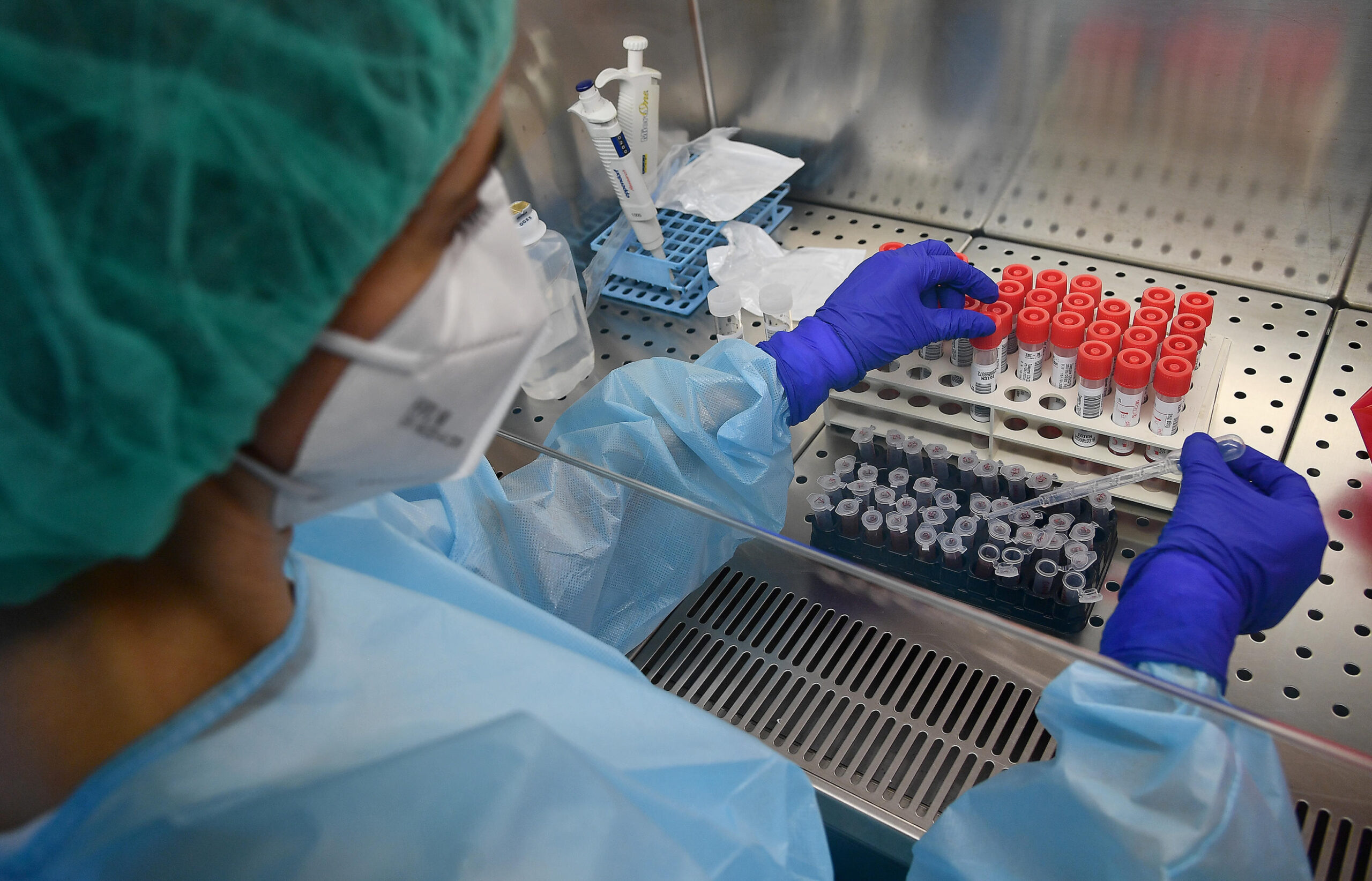 Hantavirus, task-force della Regione Calabria: attivati tutti i protocolli di sicurezza