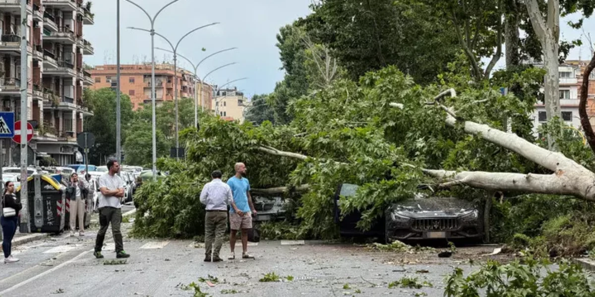 https://assets.gazzettadelsud.it/2026/06/4a07678c4ae06d60099646c38bce4b8f-1200x600-1780494585.webp