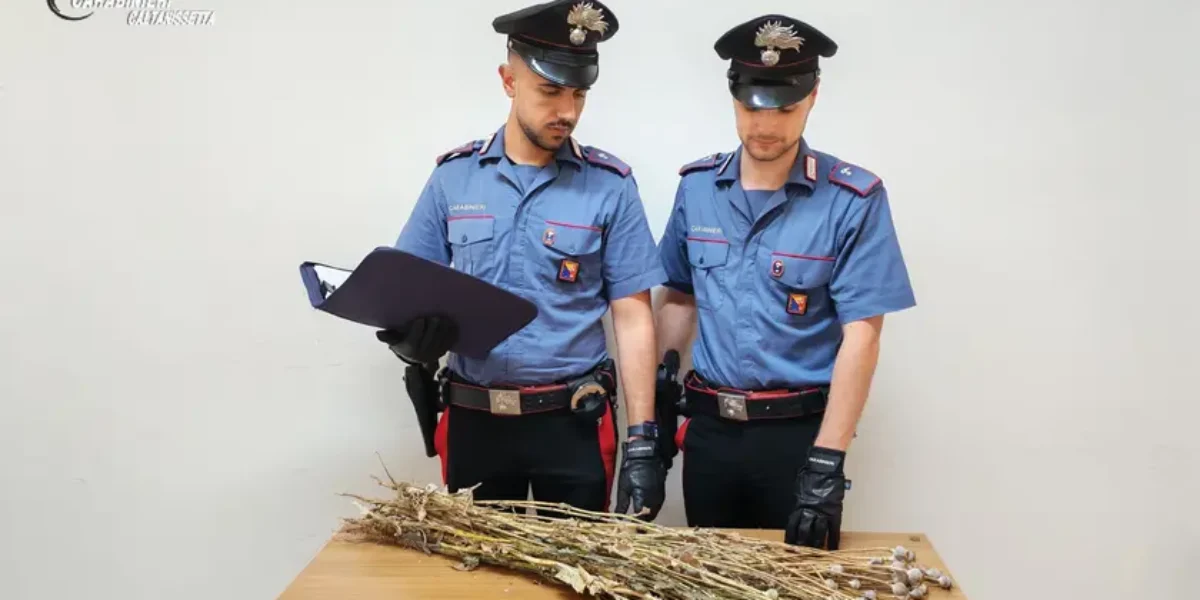 https://assets.gazzettadelsud.it/2026/06/91ab2e84a246358893827e945ac89b11-jpg-1200x600.webp