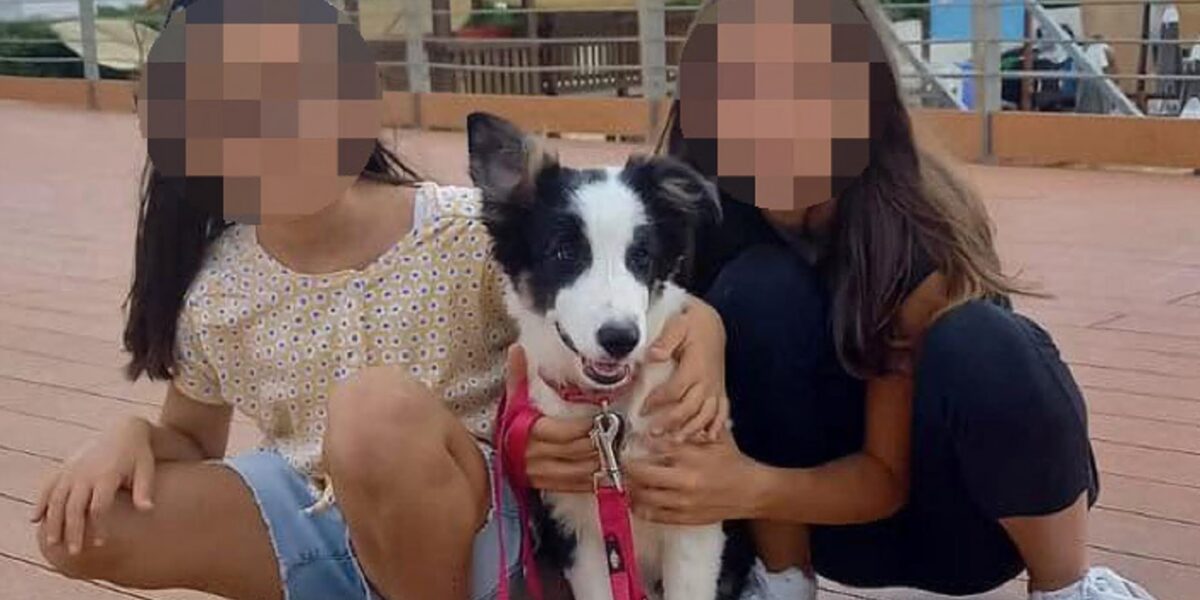 sorelle ritrovate la madre in carcere le mie figlie vogliono me da Gazzettadelsud.it sorelle ritrovate la madre in carcere le mie figlie vogliono me