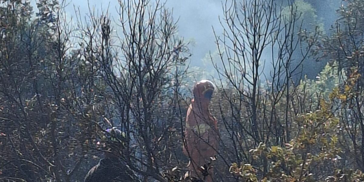 https://assets.gazzettadelsud.it/2026/06/capodorlando_incendio3-1200x600.jpeg