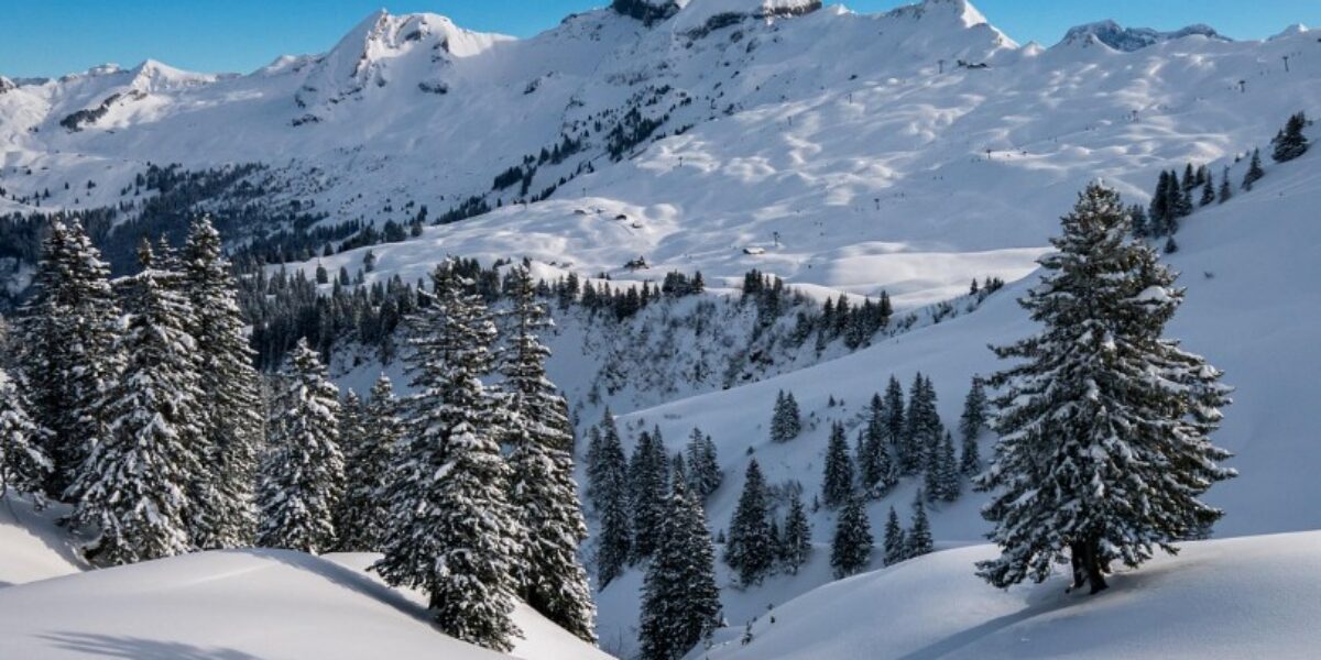 https://assets.gazzettadelsud.it/2026/06/gran-paradiso-1200x600.jpg