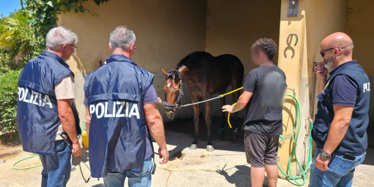 caltagirone sventata una corsa clandestina di cavalli sulla statale calesse pronto al via e denunce da Gazzettadelsud.it caltagirone sventata una corsa clandestina di cavalli sulla statale calesse pronto al via e denunce