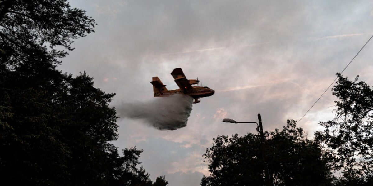 sicilia nella morsa del caldo africano 462 gradi a santa croce camerina schifani chiede un altro canadair da Gazzettadelsud.it sicilia nella morsa del caldo africano 462 gradi a santa croce camerina schifani chiede un altro canadair