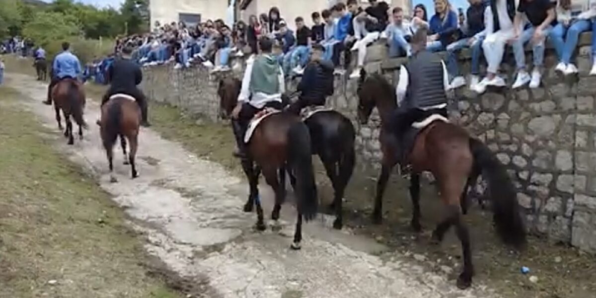 Galoppano... le multe per settanta cavalieri a San Fratello «per eccesso di velocità»