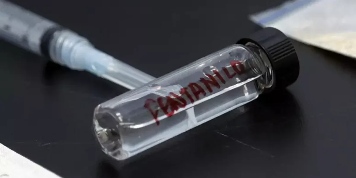 furto di 80 fiale di fentanyl dall ospedale israelitico a roma riunione d urgenza a palazzo chigi se ne possono ricavare 20 mila dosi da Gazzettadelsud.it furto di 80 fiale di fentanyl dall ospedale israelitico a roma riunione d urgenza a palazzo chigi se ne possono ricavare 20 mila dosi