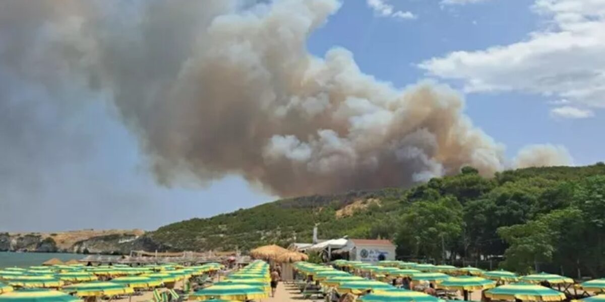 https://assets.gazzettadelsud.it/2026/07/fiamme-gargano-1200x600.jpg